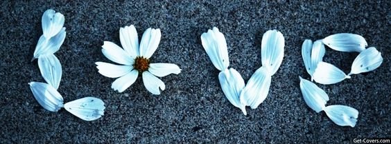 wedding love facebook covers 12